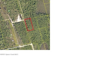 000000 Unknown, Mims, FL 32754