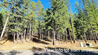 122 Kinnikinnik Cir, Whitefish, MT 59937