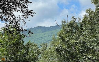 LOT 73 Fires Creek Cove, Hayesville, NC 28904