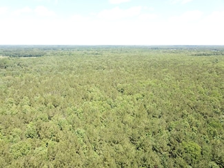 0 County Road 4223, Simms, TX 75574