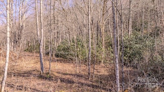00 Culvin Creek Rd, Marshall, NC 28753