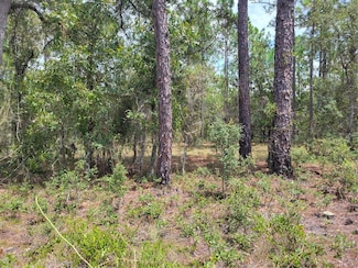 000 NW Ridgewood Rd, Dunnellon, FL 34431