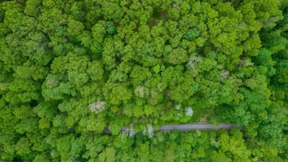 TBD Tract 2 Greens Run, Kingwood, WV 26537