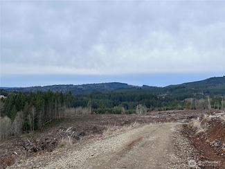 0 NKA N Goble Creek Rd, Kelso, WA 98626