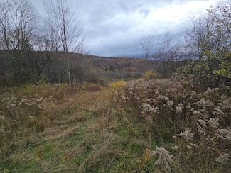 1233 Route 221, Harford, NY 13803