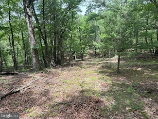 2.23 AC Doe Trail, Springfield, WV 26763