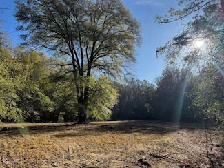 0 Lato Rd, Seale, AL 36875