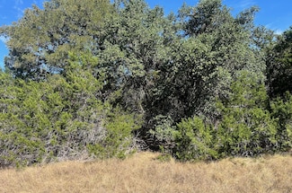 1366-E Narrows Rd, Blanco, TX 78606