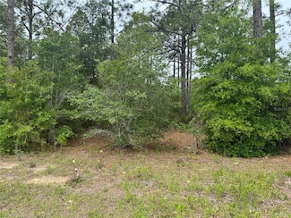 0 SW Floral Ct Unit MFROM700957, Dunnellon, FL 34431