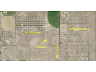 0 Salt Flat Ln Unit TL 200 627355403, Christmas Valley, OR 97641