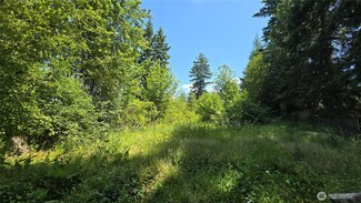 82nd 30th Ave S, Roy, WA 98580