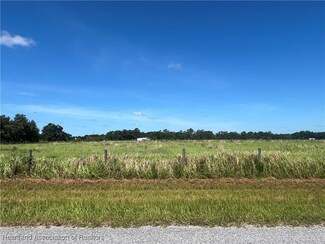 0 Sasser Rd, Zolfo Springs, FL 33890