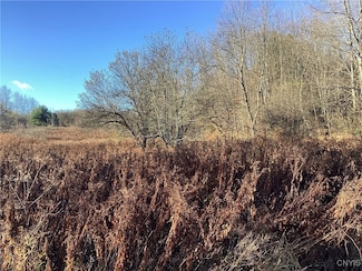 00 Blue, Barneveld, NY 13304