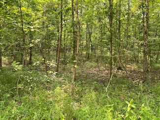 Lots 7 & 8 County Road 206, Piney Township, MO 65606