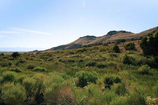 340 Pronghorn Trail, Del Norte, CO 81132