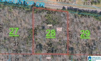 415 Greentop Dr Unit 36, Odenville, AL 35120