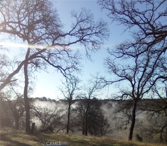 17065 Fawn Ln, Rancho Tehama Reserve, CA 96021