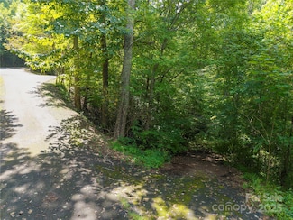 LOT 60 Chesten Mountain Dr Unit 60, Asheville, NC 28803
