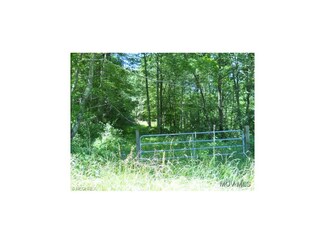 26 Oil Ridge, Harrisville, WV 26362