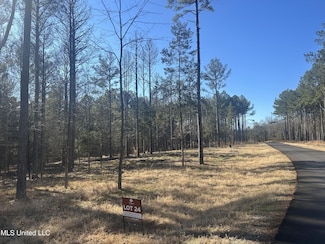 0 Springwood Trail Unit 22567399, Flora, MS 39071