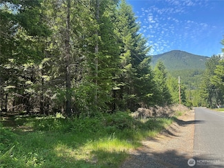 124 Cottonwood Ln, Packwood, WA 98361