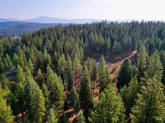 TBD Pine West Dr, New Meadows, ID 83654