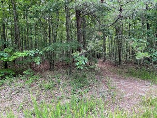 0 Ashburn Rd Unit 50455, Cumberland, VA 23040