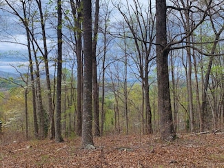 Lot 65 Timberline Dr, Young Harris, GA 30582