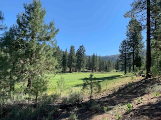 2104 Grizzly Ranch Rd, Beckwourth, CA 96122