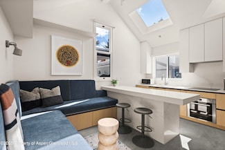 211 W Main St Unit 103, Aspen, CO 81611
