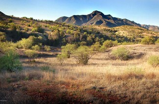 0 Rail X Ranch Estates Place Unit 16 21905029, Patagonia, AZ 85624