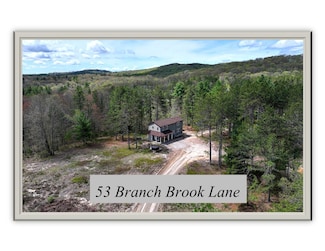 53 Branch Brook Ln, Newfield, ME 04095