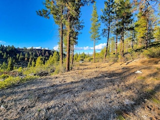0 Indian Circle Dr, Chiloquin, OR 97624