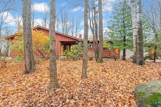 1110 W Morgan St, Duluth, MN 55811