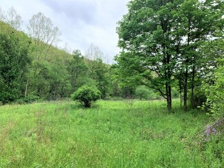 1312 Stoney Creek Rd Unit Stoney Creek Rd, Marlinton, WV 24954