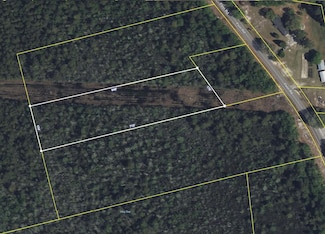 TBD 3 Acres Flinn Rd, Manning, SC 29102