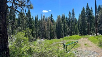 51460 Red Fir Dr, Soda Springs, CA 95728