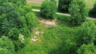 TBD Bauguess Mill Rd, Traphill, NC 28685