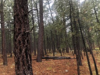 1063 State Route 260 --, Forest Lakes, AZ 85931