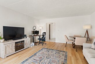 50-56 Broadlawn Park Unit 207, Chestnut Hill, MA 02467
