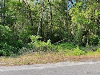 LOT 13 SW Nautilus Blvd, Rainbow Lakes Estates, FL 34431