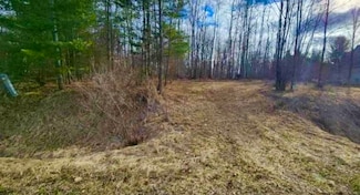 Lot 187 Greensboro Way, Butman Township, MI 48624