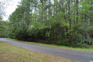 Lot 16 Sec 3 S Carolina Rd, McClellanville, SC 29458