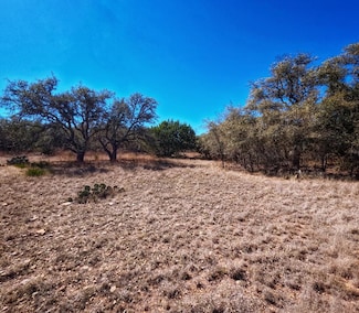 623 Josephine, Harper, TX 78631