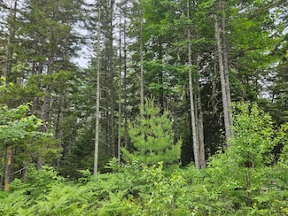 M14L33A Smithville Rd, Steuben, ME 04680