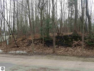 00 Maple Ave, Frankfort, MI 49635