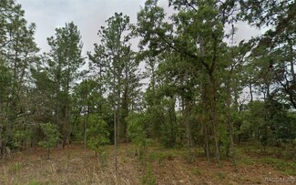 1836 W Quaker Ln, Citrus Springs, FL 34434