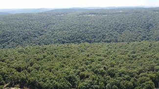 1202 Liberty Rd, Leslie, AR 72645