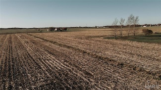 0 Hamel Dr, Hamel Township, IL 62025