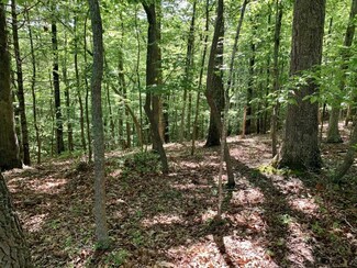 Lot 8 Hickory Dr, Goodview, VA 24095